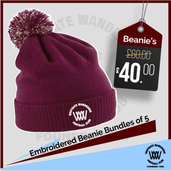 Beanie Bundle x 5 Thumbnail
